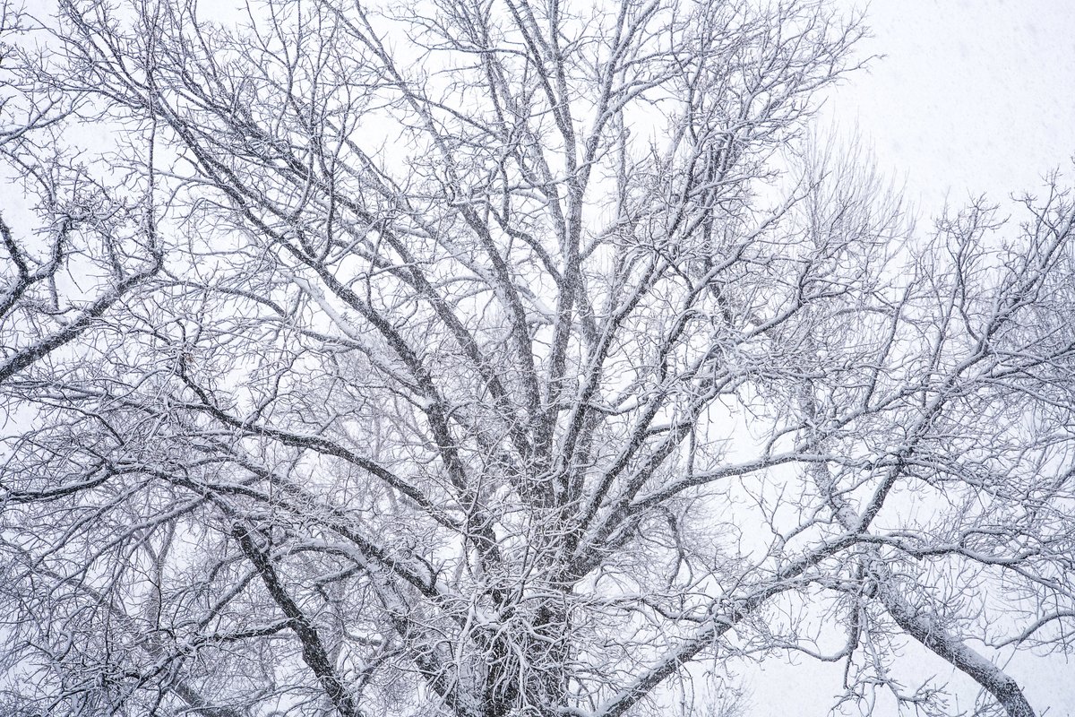 City of Fort Collins tweet media