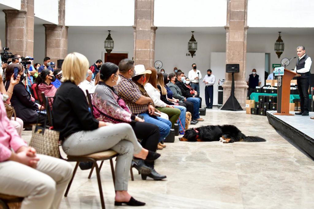 mrikelme's tweet photo. En Coahuila, las mascotas forman parte de ocho de cada diez familias; aquí las queremos, respetamos y procuramos su bienestar. 

También reconocemos a las veterinarias y veterinarios coahuilenses por trabajar siempre con amor y profesionalismo por la salud de los animales. https://t.co/HAjQQwLlH9