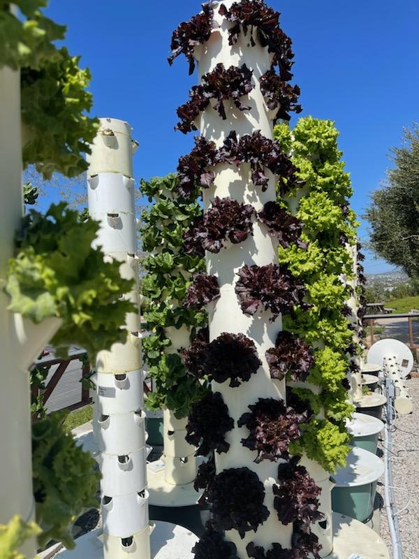 So. CA Indian Center tweet media