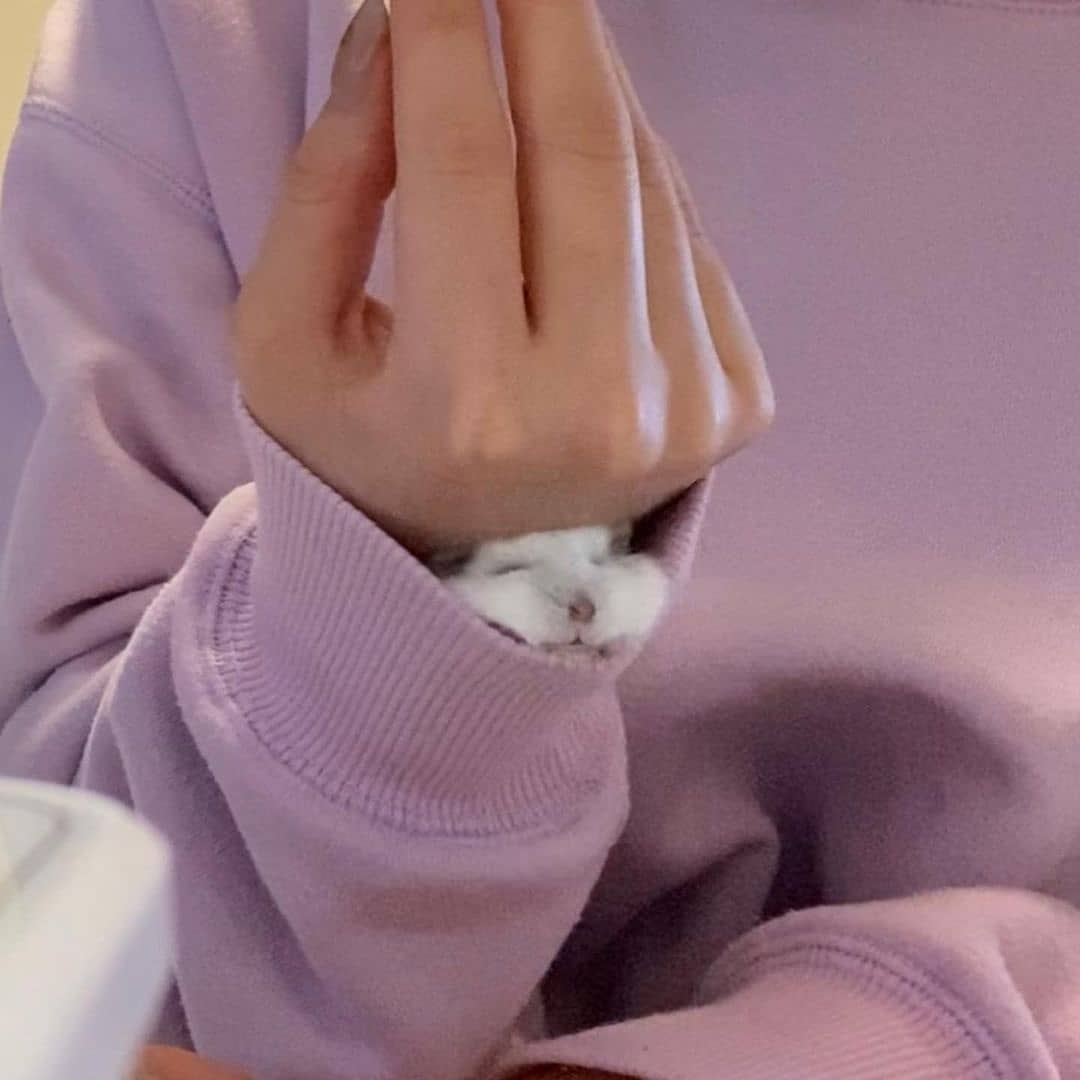 hamstersmp4's tweet photo. https://t.co/DemUWuUlop