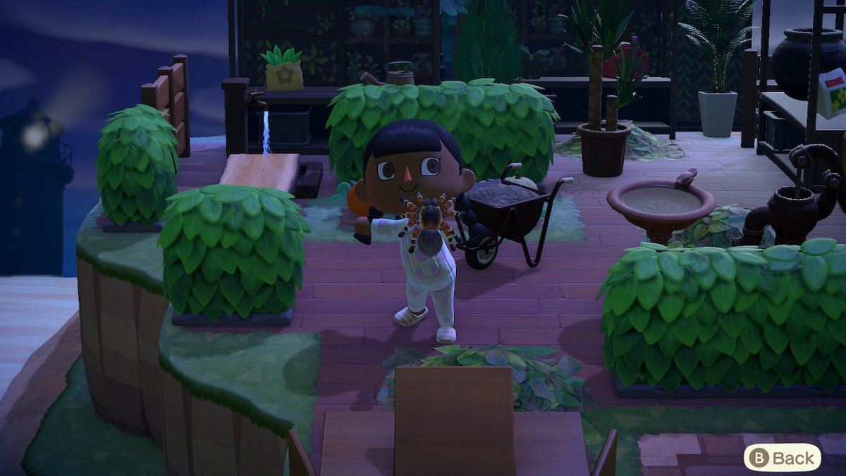 itsSharnah's tweet photo. #AnimalCrossing #ACNH #NintendoSwitch https://t.co/XR7Fl1KOAA