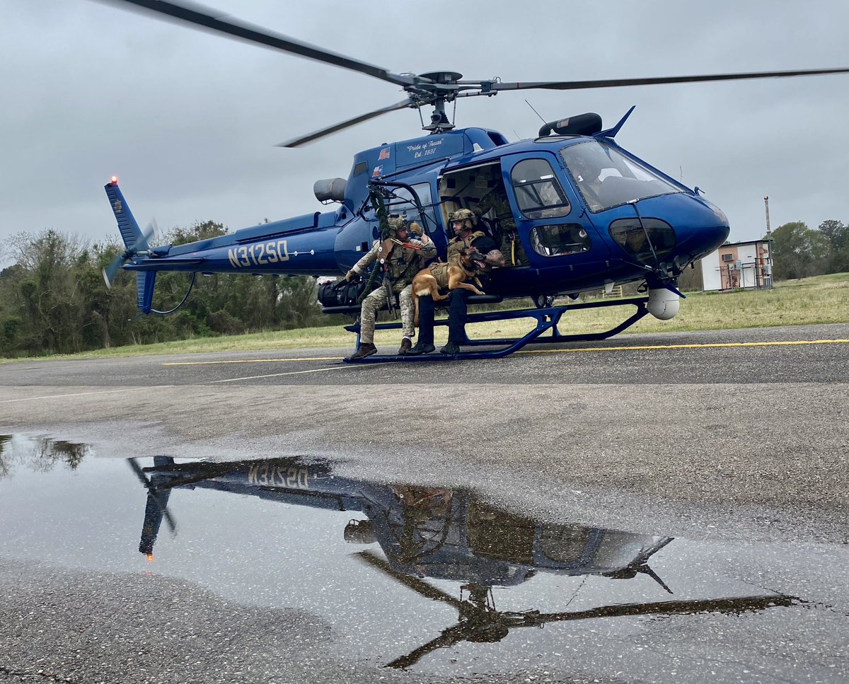 HCSOK9 tweet media