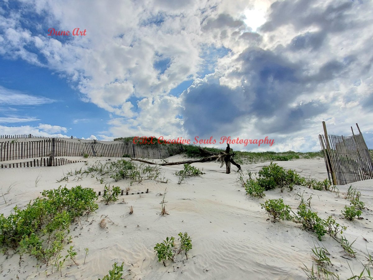 ObxSouls's tweet photo. @ObxSouls it's a great day for Dune Art handmade by nature..#DuneArt #OuterBanksNC #OBXNC #SuchBeauty #OceanLiving #ThroughMyLens #OBXCreativeSoulsPhotography https://t.co/iBaXRn2GCI