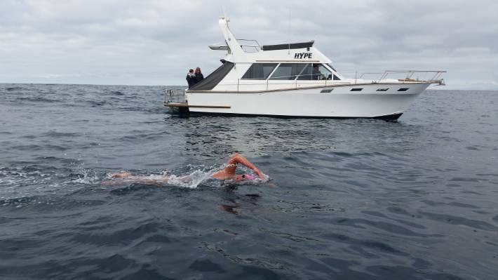 Timaru Herald tweet media