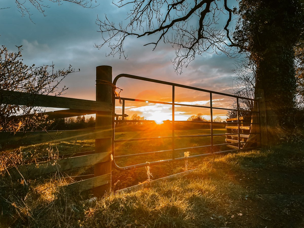 whileonourtrav1's tweet photo. Beezer wee sunset in Antrim tonight #sunset #sunsetbritain #antrim @WeatherCee @angie_weather @barrabest #sunsets #springtime #photoopps #rays #NorthernIreland https://t.co/HYZNlWrqwC