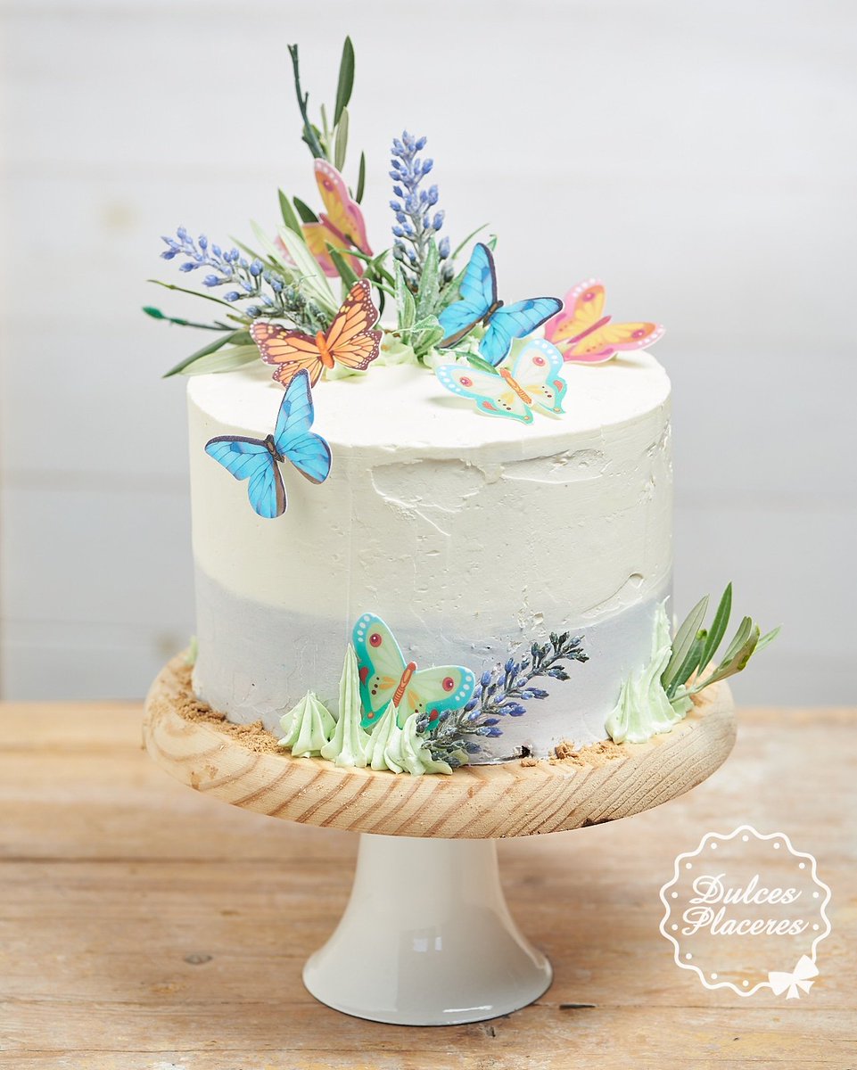 _dulcesplaceres's tweet photo. 🦋Primavera 🦋 ¿Cuánto tiempo hace que no ves una #mariposa? Te mostramos estos coloridos y bonitos #lepidópteros 😍 posados y disfrutando de nuestra 🎂 #buttercream...
#tartasmurcia #buttercreamcake #murcia #pasteleriacreativa #momentodulce #dulcesplaceres
#nackedcake https://t.co/Dus6ACA8ao