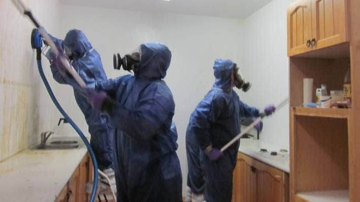 Timaru Herald tweet media