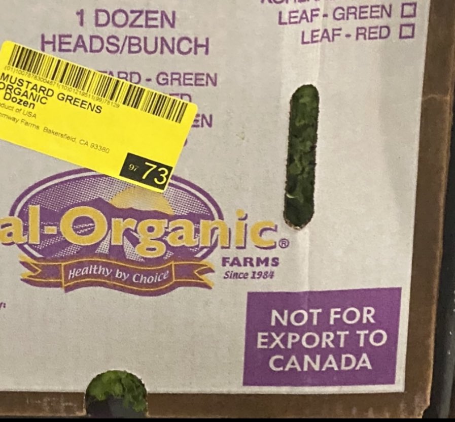 chrispycrem's tweet photo. Fuck y’all Canadians 😂🖕 y’all can have public healthcare but you can’t have our organic lettuce 🙄 https://t.co/WJzaFlR3gI