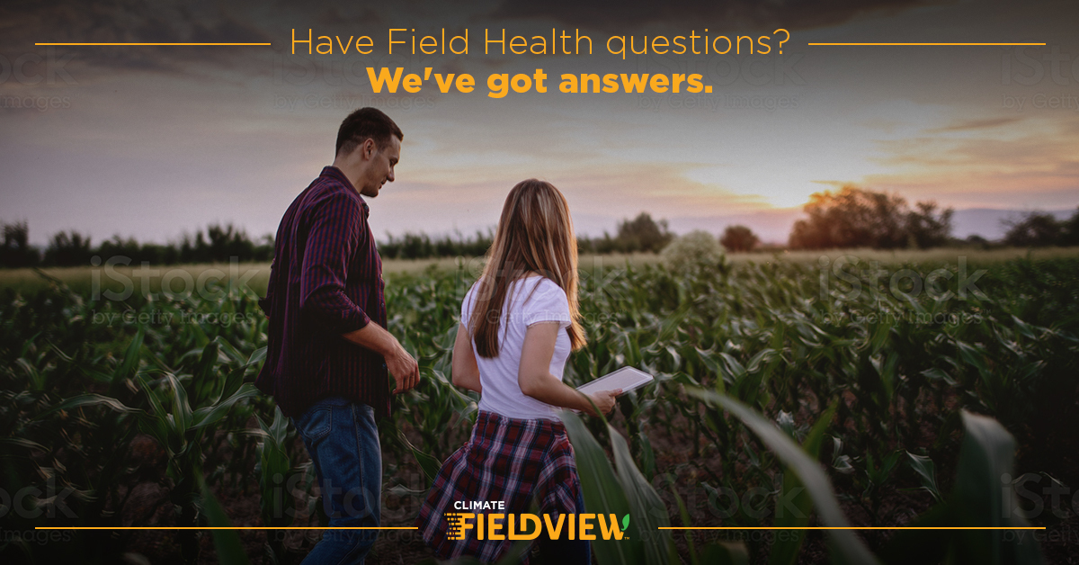 FieldViewCanada's tweet photo. Field health imagery has started but what does each image mean? 
Vegetation maps = plant biomass accumulation; good for comparing all fields. Scouting maps = plant biomass put in 5 zones relative to the field. 
True color = actual image taken.
Learn more: https://t.co/CieabgdxGu https://t.co/KhrwadacMr