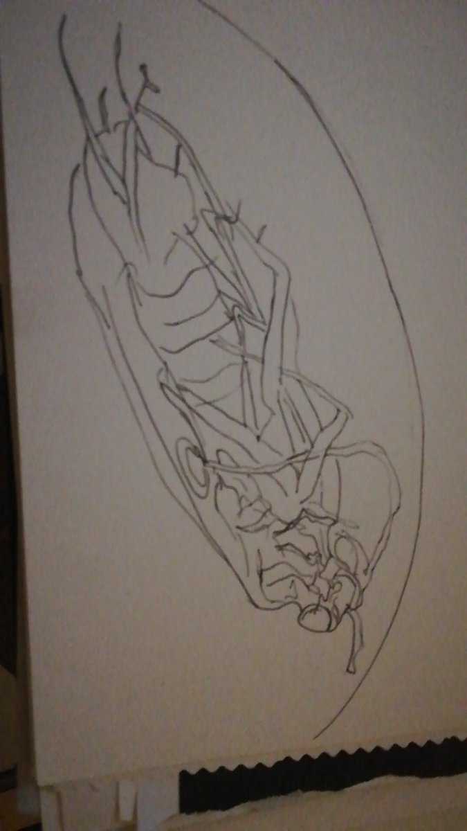 ElleGraceGreen's tweet photo. Fabulous evening drawing Amber, thanks @morethanadodo! https://t.co/AvrSrZQJPn