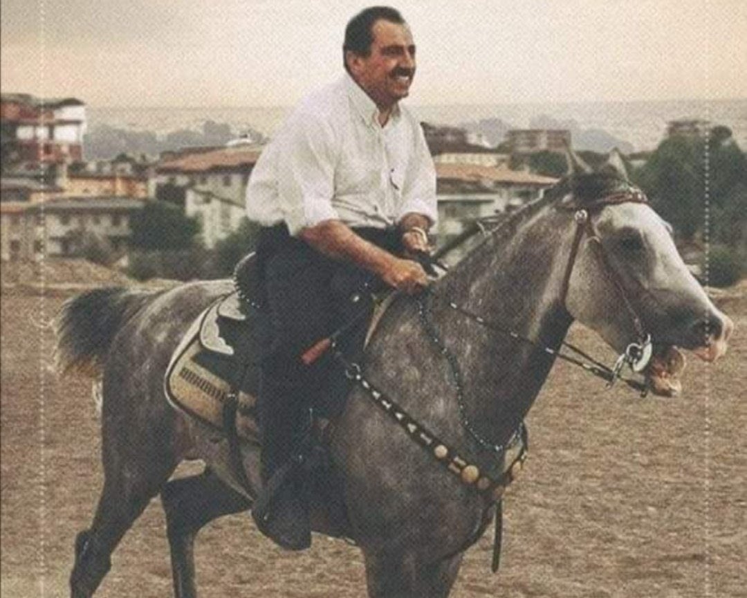 Ölürse ten ölür, canlar ölesi değil.

Rahmetle Koca Reis...
#MuhsinYazıcıoğlu