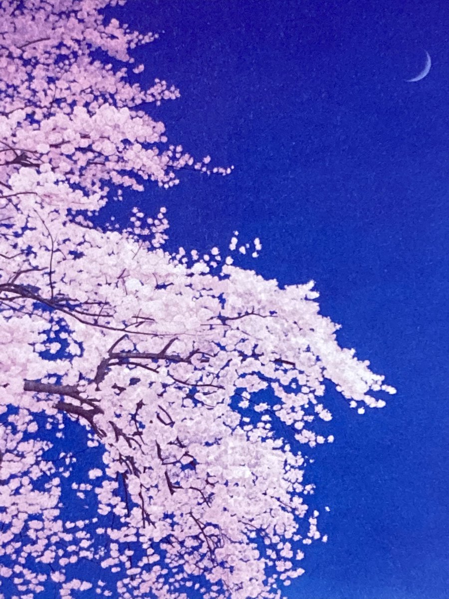桜と日本画