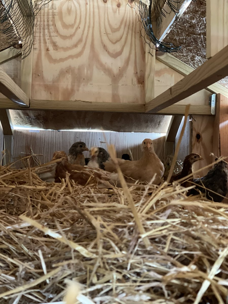 Andrew Crawford tweet media