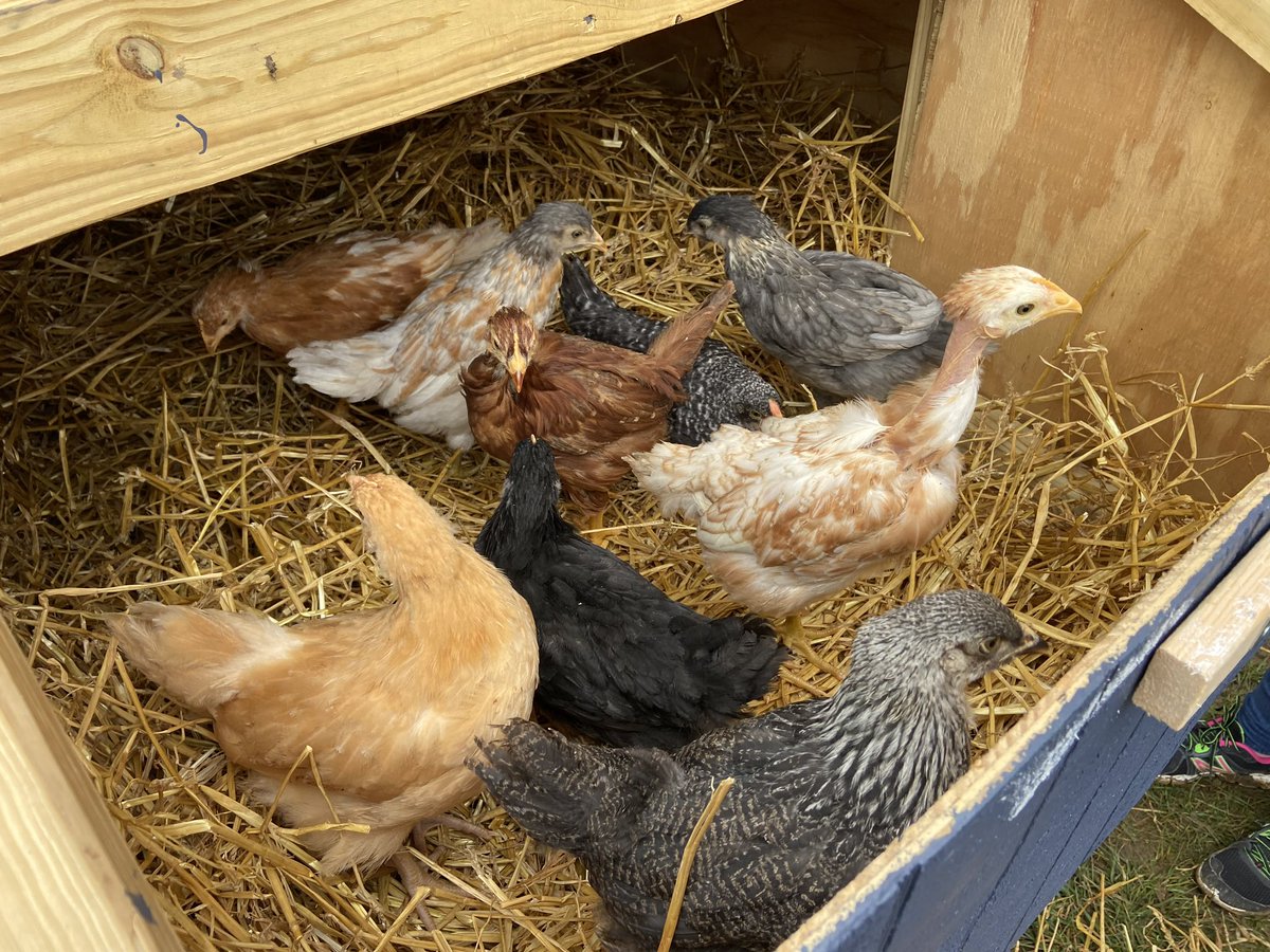 Andrew Crawford tweet media