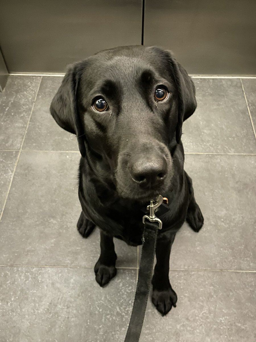 Wants some of my Apple