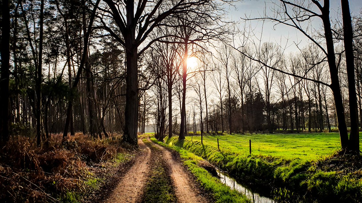 buitenadem66's tweet photo. #cyclingview #gravelride #Testelt https://t.co/ywrS3WdgrW