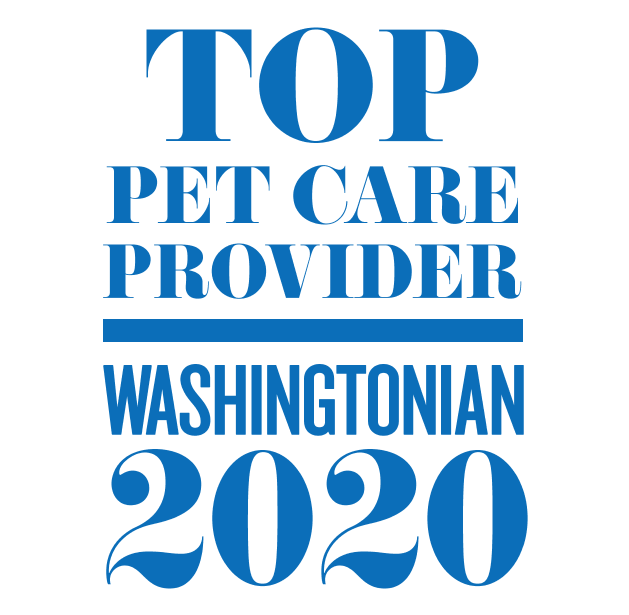 Dogma Dog Bakery tweet media