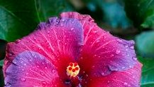 semrasevimli44's tweet photo. @INSTINC26289171 I realized that there are some other colours than PURPLE https://t.co/znrhCNWYrM