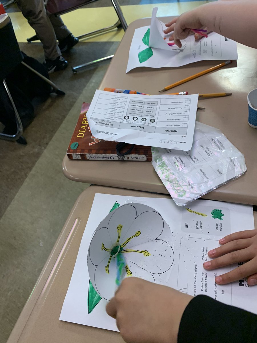 Room 205 3rd Grade tweet media