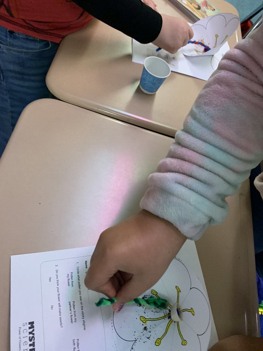 Room 205 3rd Grade tweet media