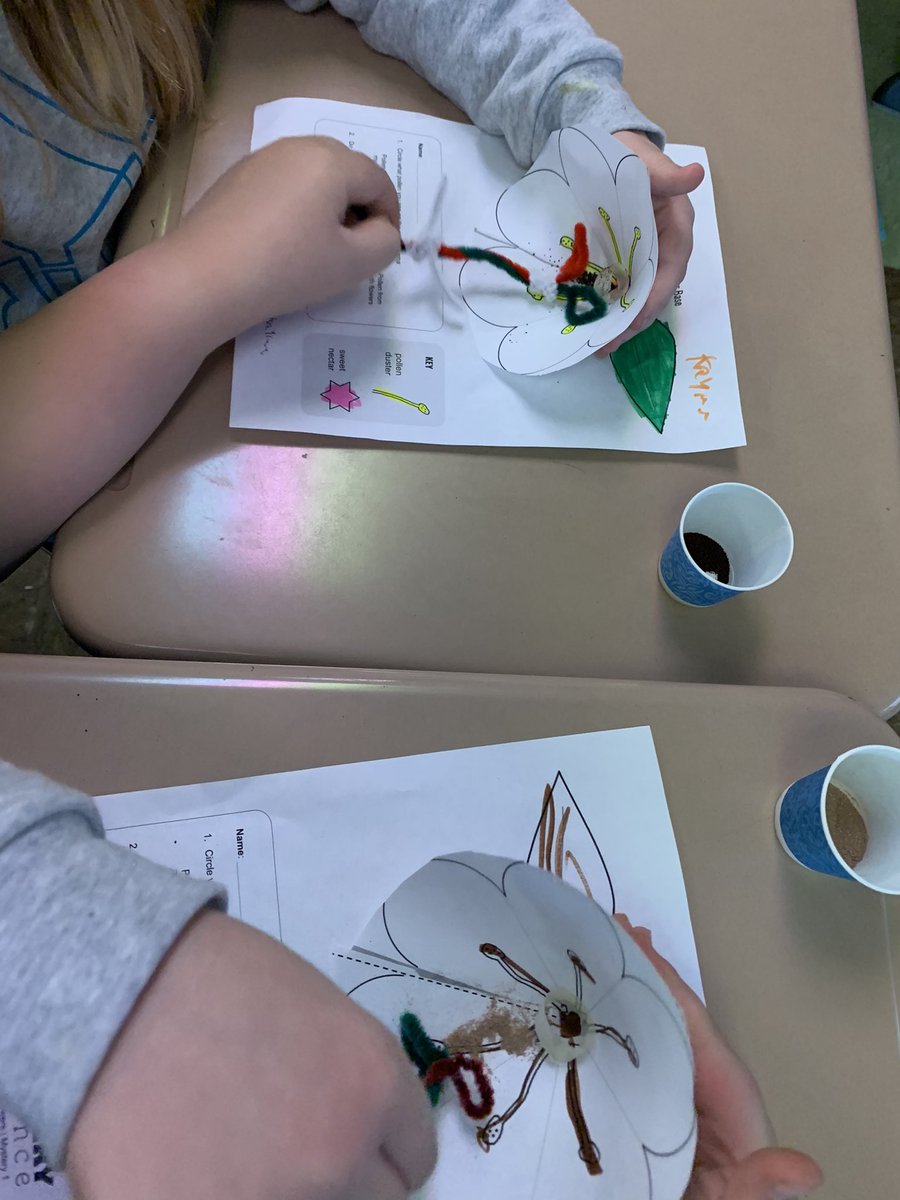 Room 205 3rd Grade tweet media