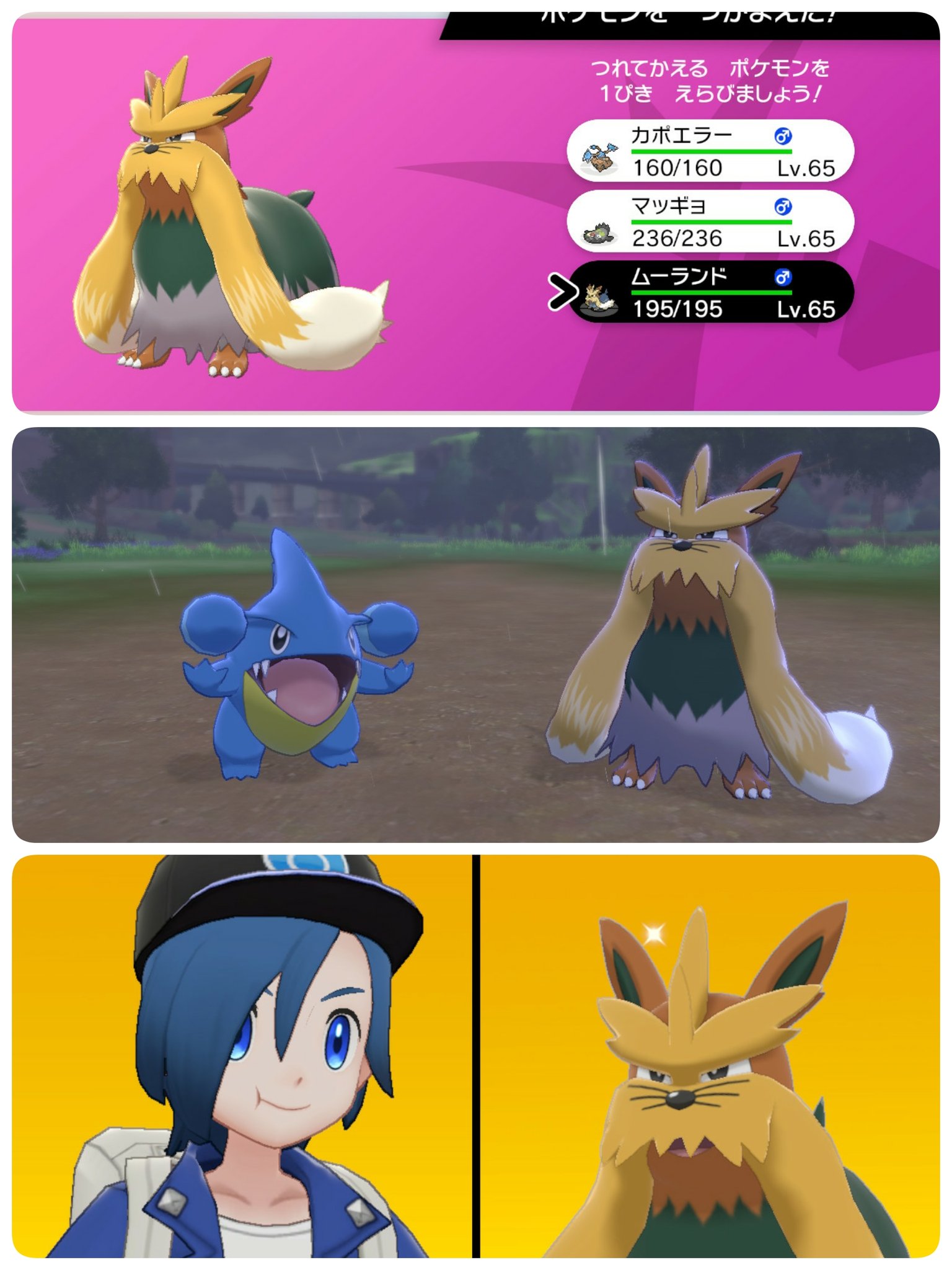 まろころ Oapy01 たかちゃん おはよう 色ムーランドおめでとう ダイアドで色違い出したことないからいつもすごいなぁと見てるよ Twitter