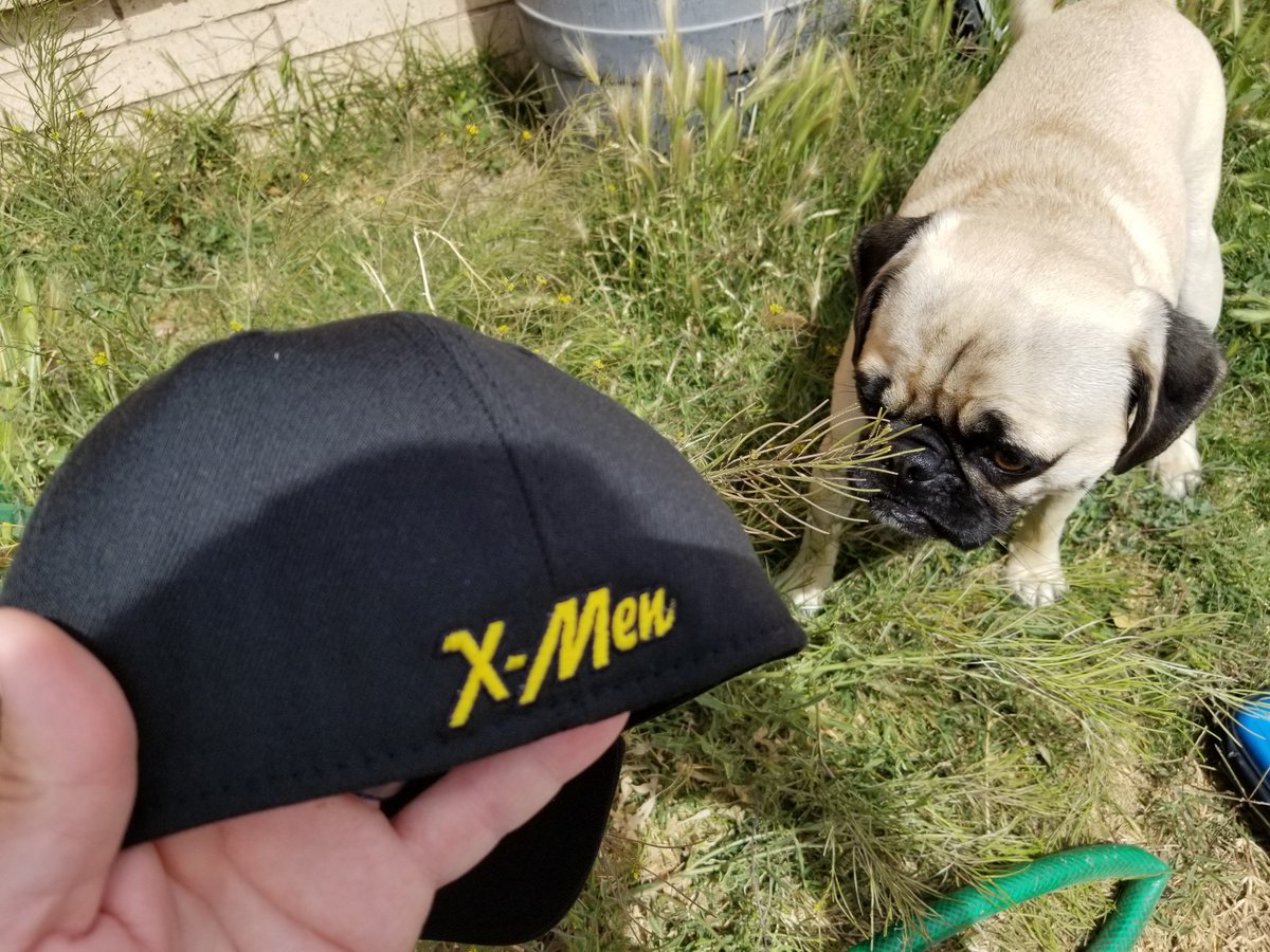 #WolverineWednesday Cool. This just came in from the GREAT People at <a href="/SuperHeroStuff/">SuperHeroStuff.com</a> <a href="/mrjafri/">Ziggy 🇵🇸</a> <a href="/The1stBAT/">The1stBAT</a> <a href="/SuperheroSteel/">STEEL🗯</a> <a href="/lodix1/">LodiX</a> <a href="/epicheroes/">Epic Heroes</a> <a href="/PopCorn_Media/">Popcornography</a> <a href="/geeky_goddess01/">Geeky Goddess</a> <a href="/bassbrooo/">Silverado</a> @ComicsFred <a href="/SuperheroPOLL/">SuperheroPOLL! #SHPOLL25</a> <a href="/GeekToMeRadio/">Geek To Me Radio</a> <a href="/GeekVibesNation/">Geek Vibes Nation</a> <a href="/TrueEliteGeek/">True Elite Geek</a> <a href="/CBNostalgia/">Comic Book Nostalgia</a> <a href="/xmentas/">XMenTAS</a>