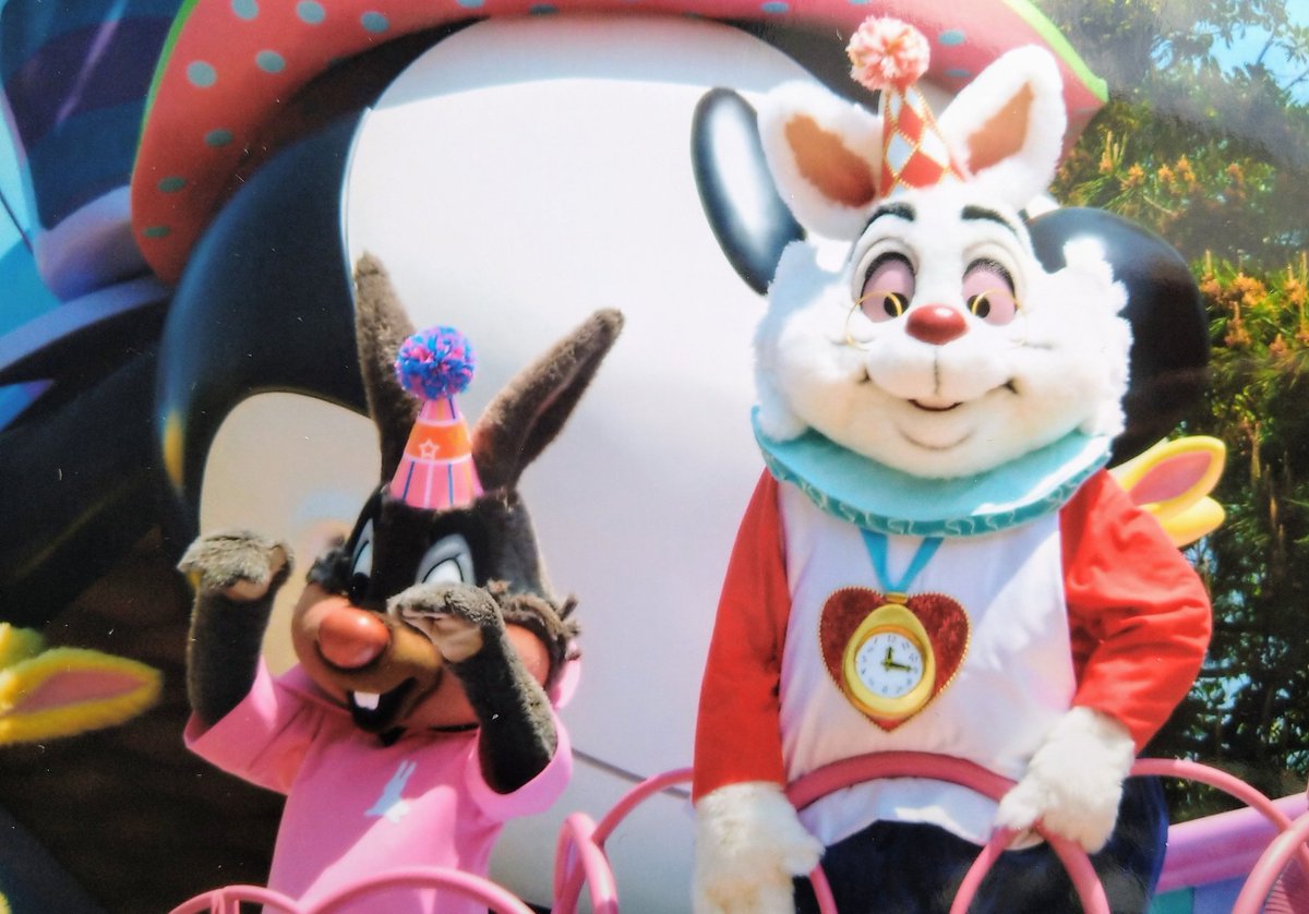 ひかり على تويتر 過去のイースター 不思議の国のアリスに出てくる白うさぎとスプラッシュマウンテンに出てくるうさぎどん 白うさぎ うさぎどん イースター ディズニー