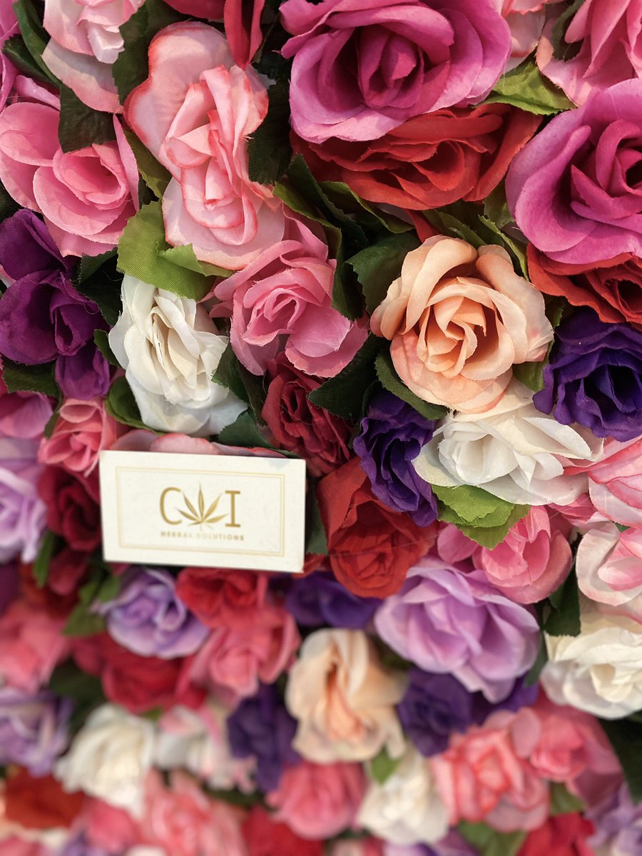 iheartcoi's tweet photo. 💐✨ https://t.co/2uNXDlSgVG