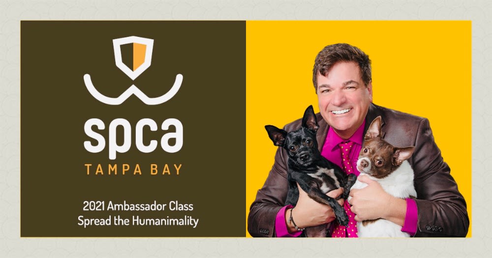 DaleBadway's tweet photo. Please sponsor 'Team Badway Boys' with a donation today! #petwalk2021 for @SPCATampaBay Love, Dale, Apollo &amp; Finley https://t.co/1XQwjYakq6 https://t.co/PzrdD19aJ2