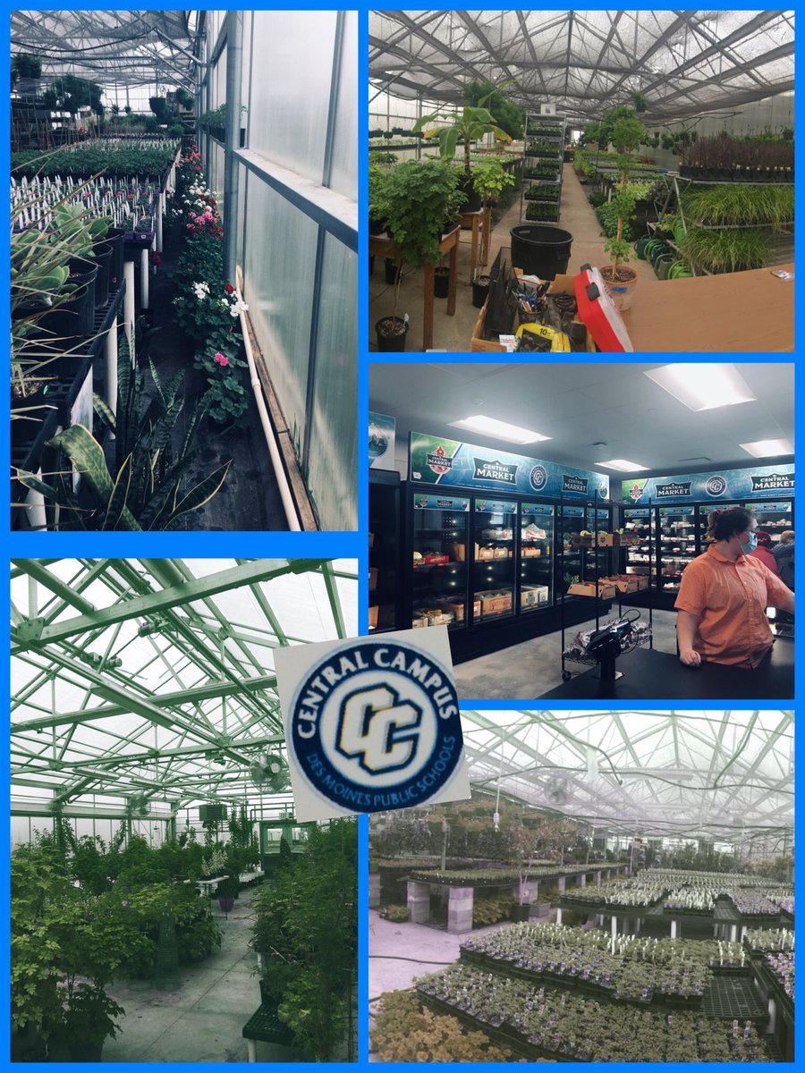 CentralCampusDM's tweet photo. The @CentralCampusDM greenhouse and Central Market are almost ready for you to visit! Stop by and checkout the real world leaning in action. #CTE #ThinkLearnGrow https://t.co/qaJXb180Ze