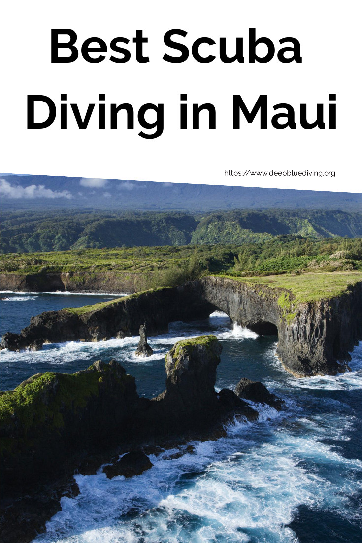 Deep_BlueDiving's tweet photo. Maui offers some of the most spectacular scuba diving spots you can find anywhere in the world. Have a look at our list of the best ones! https://t.co/gEA94ia7WJ #scuba #diving #maui #hawaii https://t.co/B8OhtXI586