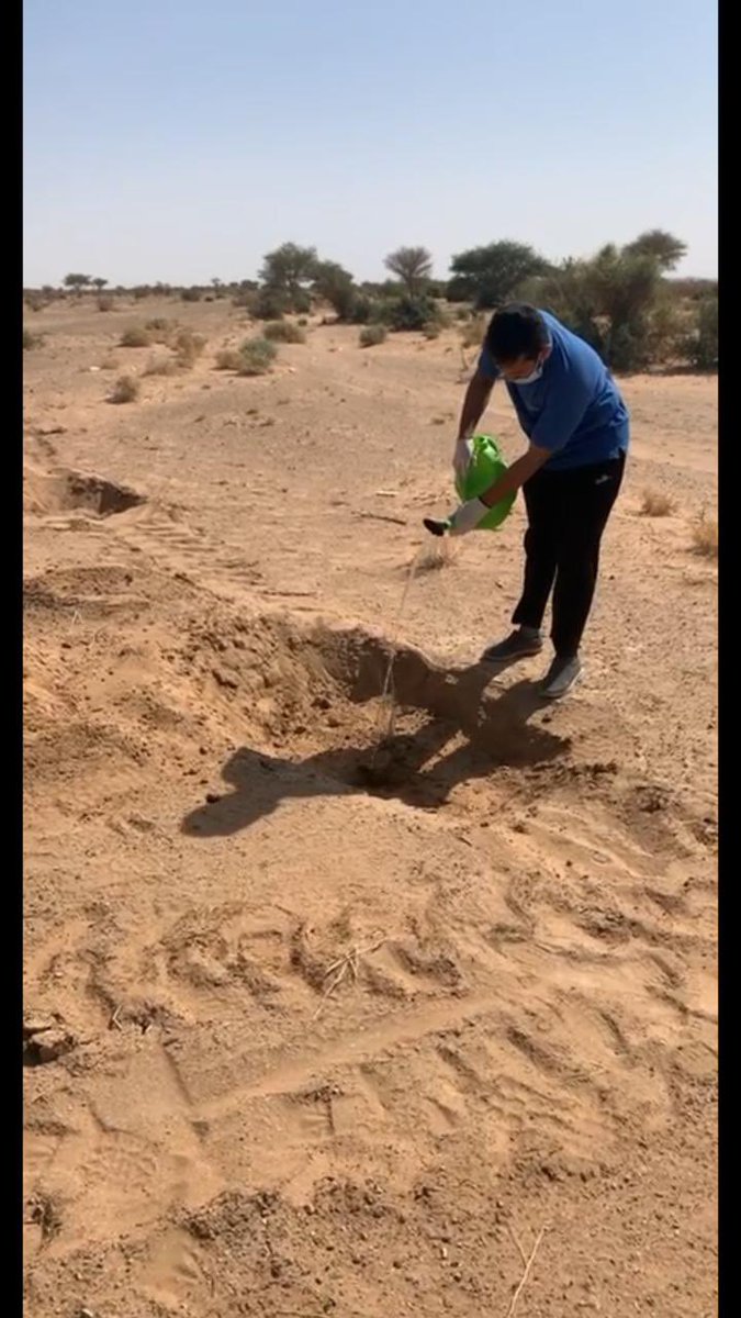 ضمن مشاركة المعهد الصناعي الثانوي وفرع الكلية التقنية بعفيف في أسبوع البيئة #البيئة_لنا_ولأجيالنا شارك مدير المعهد ومشرف فرع الكلية التقنية أ. زبن العتيبي ومشرف الأنشطة م. طارق الغامدي وعدد من المتدربين في زراعة عدد من الأشجار.
#التدريب_التقني 
<a href="/Tvtc_riyadhgdt/">التدريب التقني بمنطقة الرياض</a>