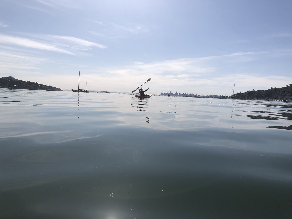 Barbara CS Hamilton, MD, MS tweet media