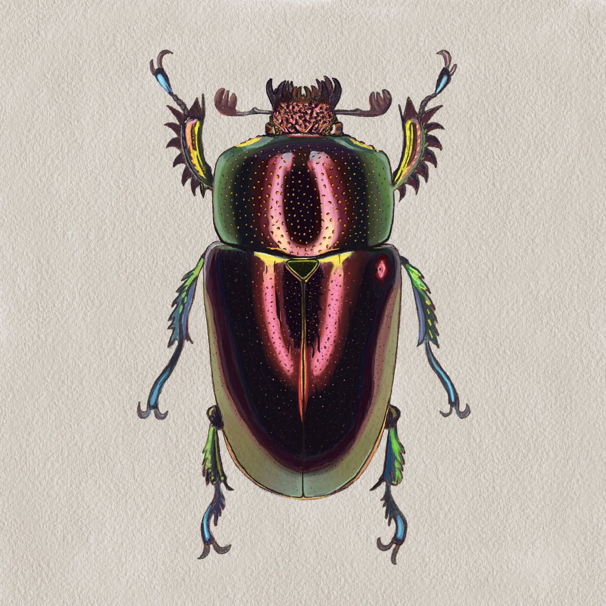 and here we go !! the final product !! i’m so pleased with how this came out and pretty proud !! it felt like a tough one to start off with but i’m super happy with it ✨💛🪲