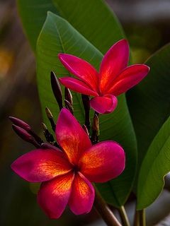 INSTINC26289171's tweet photo. Blossom by blossom the #spring begins.”
🌺💗🌺
#Nature #Uplift #Beauty #life #SpringForward #photography #Smart #Art #Artistic #Art #love #Expression #Positive #Creativity #Character #Wellness #Innovation #Feeling #awesome #Amazing #Think #Beyond #Vision #Exclusi
#Flowers
🌺💗🌺 https://t.co/t7UTh4mkAB