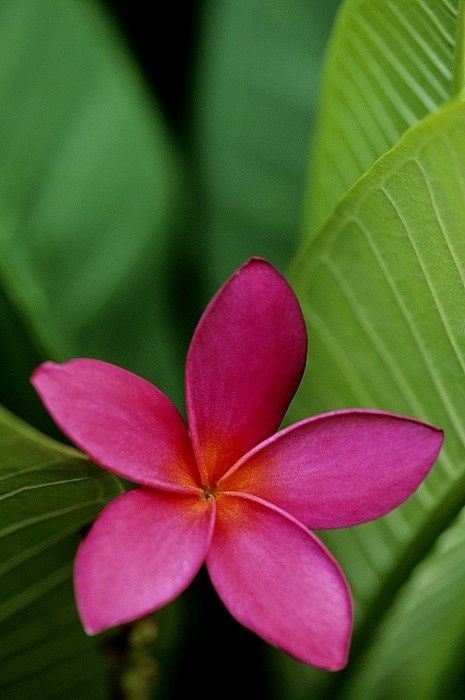 INSTINC26289171's tweet photo. Blossom by blossom the #spring begins.”
🌺💗🌺
#Nature #Uplift #Beauty #life #SpringForward #photography #Smart #Art #Artistic #Art #love #Expression #Positive #Creativity #Character #Wellness #Innovation #Feeling #awesome #Amazing #Think #Beyond #Vision #Exclusi
#Flowers
🌺💗🌺 https://t.co/t7UTh4mkAB