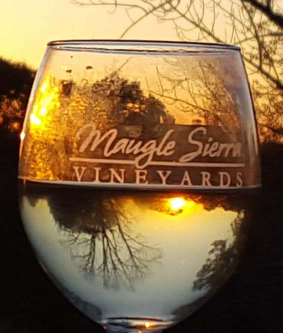 sierra_sunset's tweet photo. #Winetime All Weekend (Friday - Sunday) from 12 Noon with Fine Wines, Great Music and Friends @MaugleSierraVineyards. https://t.co/b1Y21F5W9W https://t.co/zj6VH7xPvJ