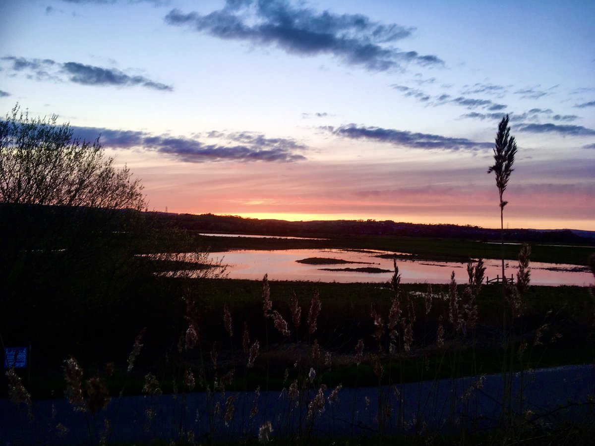 JoHorneDPT's tweet photo. An after work wander & perfect antidote to another day in front of a screen #nature #letswalkdevon #selfcare https://t.co/eiQmjaLCdY