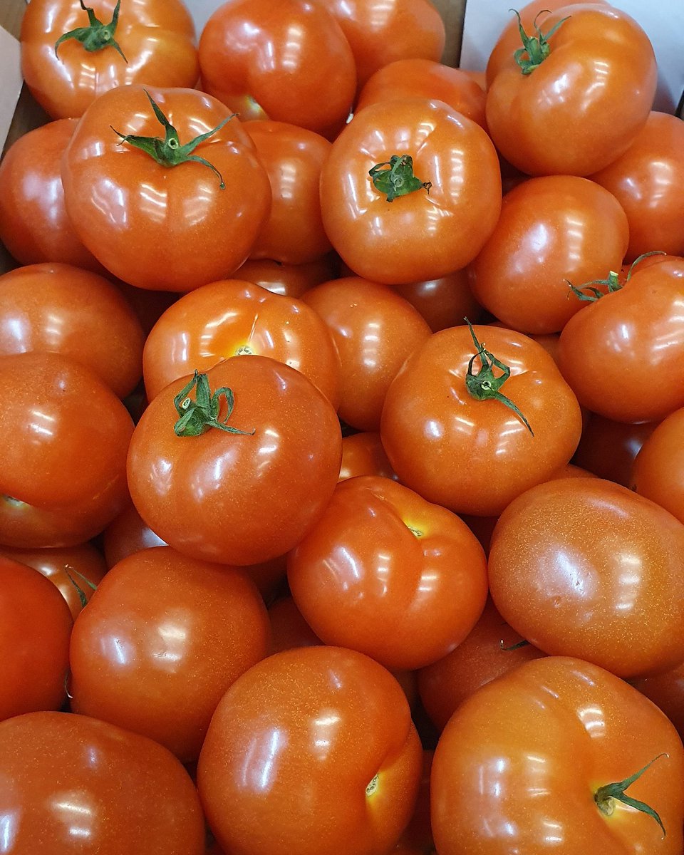 FrenchGardenBr's tweet photo. Look at those for Tomatoes! Fantastic quality from the Dutchman this morning ππΌπ
#tomatoes #dutchproduce #salad #fgb #wholesaler #bristolmarket https://t.co/ggePfxsGGi