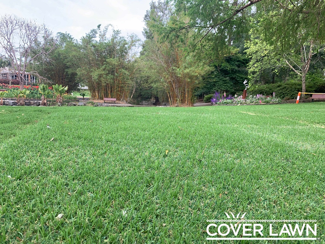 HGTurfGroup's tweet photo. Looking for the perfect (#Hybrid) solution for your open space high wear foot traffic areas?
HG Turf Group has the solution with #CoverLawn!
For a free assessment please contact Patrick Young – Pyoung@Hgturfgroup.com.au
#HybridTurf #HybridSolution #Turf #HybridGrass #Grass https://t.co/pNugjMr2Ie