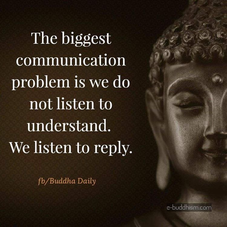 Gala Merhi tweet media