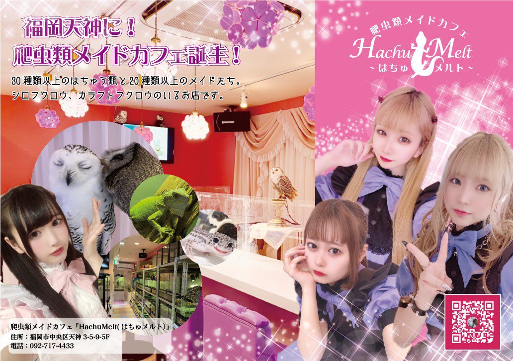 フクロウと爬虫類のいるカフェ Hachu Melt はちゅメルト 福岡天神 求人募集 フクロウのいる爬虫類メイド カフェ はちゅメルト では 一緒にお給仕するメイドキャストを募集してます 時間 13 00 22 00 シフト制 爬虫類メイドカフェ で