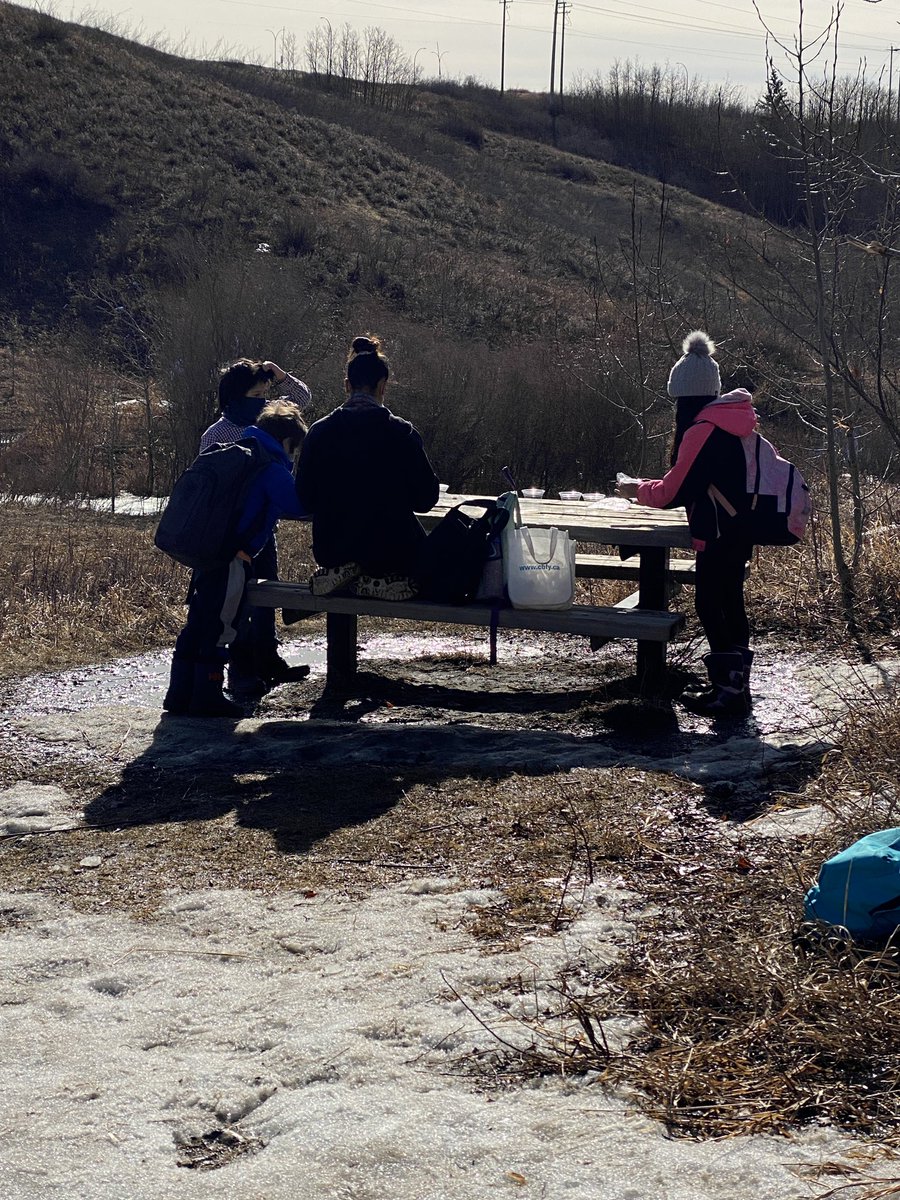 amplifyandlearn's tweet photo. Exploring hearing, sound, vibrations and how animals communicate in the coulee.  #couleeschool #ehsourstory #wearecbe https://t.co/5nffR8sibd