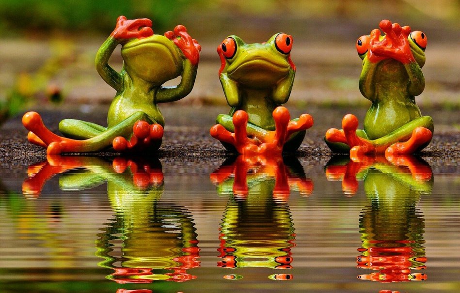 Physician Outlook shared an interesting article as to how insidious buzzwords may contribute to the decimation of Physician-Led Healthcare. Read more on our Procial Feed:

mydoqter.com/procial-posts/…