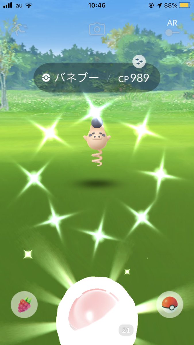 色違いバネブー Twitter Search