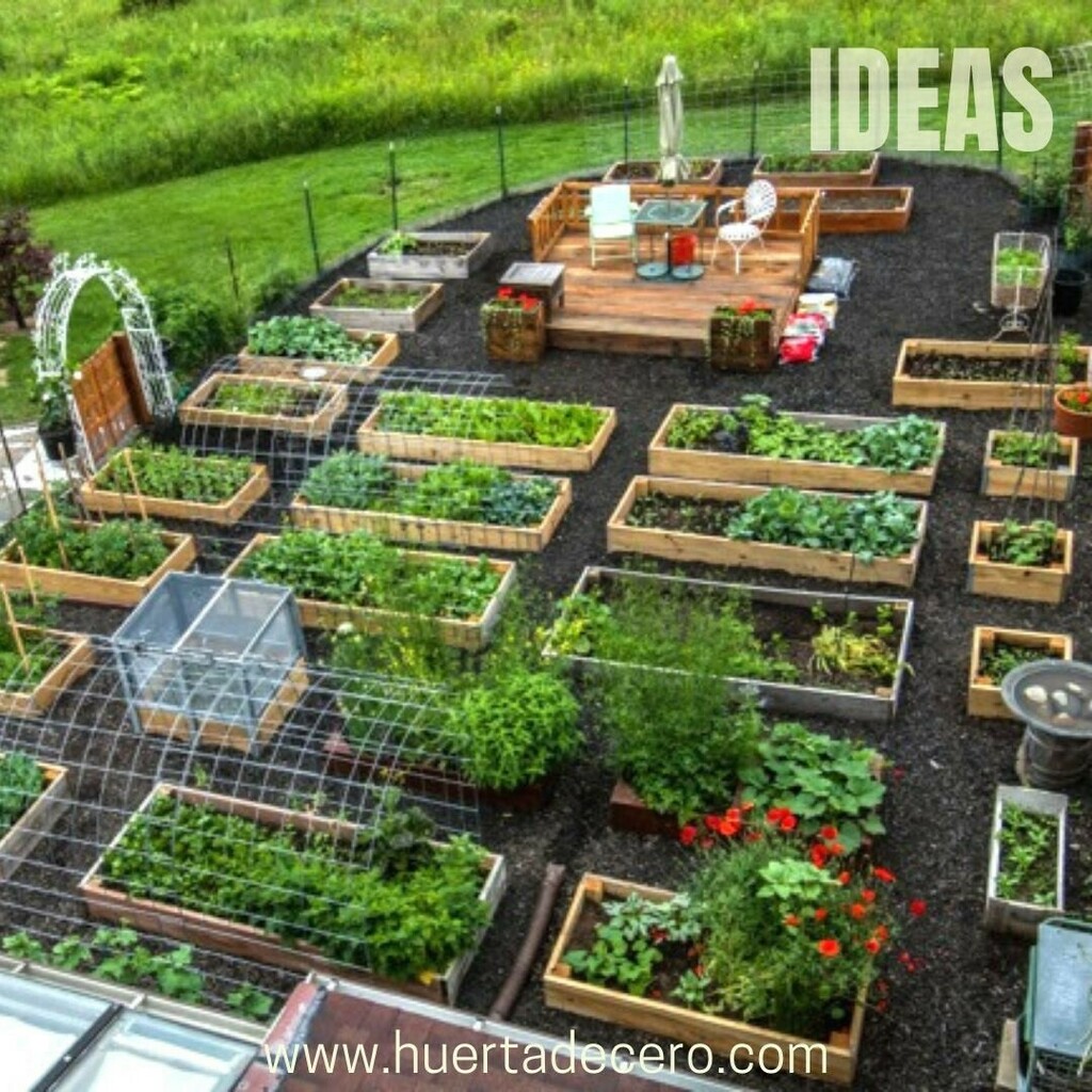Huertadecero's tweet photo. ✅ No se ustedes.

YO NECESITO ESTO

Les gusta?

#huertaorganica #huertaurbana #huertas #huertaencasa #huertaecologica #huertaencasa🌱 #huertavertical #huertacasera #huertaenmacetas #huertafamiliar #huertasurbanas #huertascaseras #huertasencasa #mihuer… https://t.co/Y8L1EsZB5s https://t.co/LVJgN01JDC