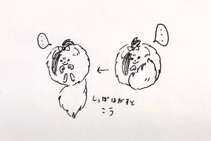 もう出かけるってのにぽめちかがいかにして毛玉になったのかの仕組みを考えていました。 