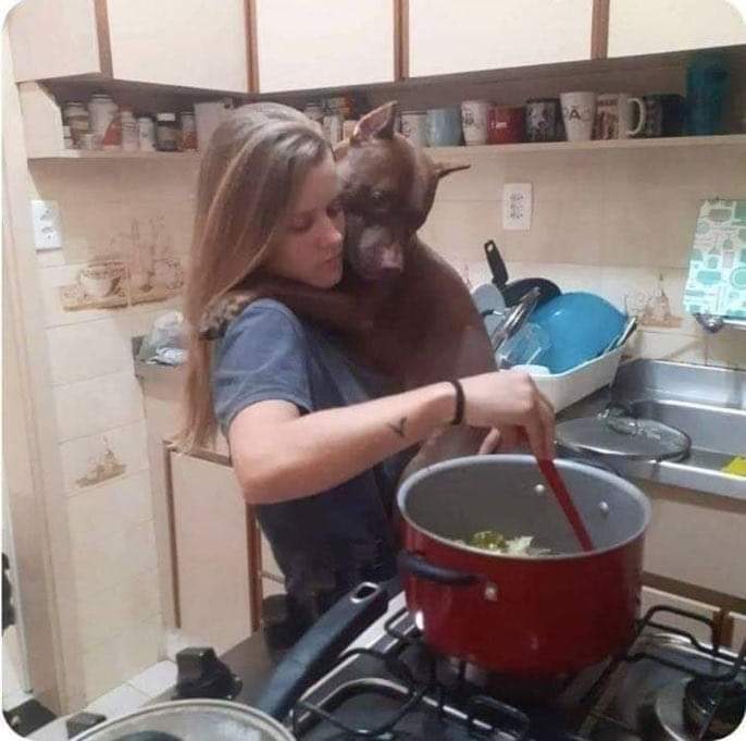 EtMeSolta's tweet photo. Eu: "odeio criança mimada."

Eu com meu cachorro: https://t.co/x7BpmsvPah