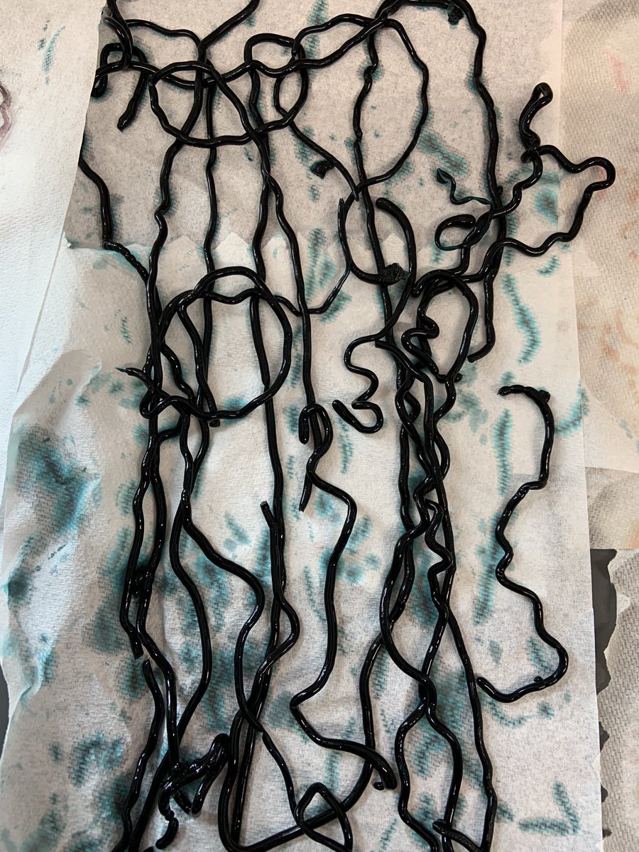 MariaVdeG's tweet photo. Students 5g Spanish enjoyed making algae string @CorinneTakara @atlantaSTEAM @peluchiflores @VaneMosqueira @JamesPHodgkins @AISLearns #aisSTEAM https://t.co/V9N6OJ2yk3